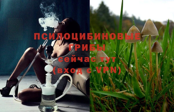 jwh Аркадак