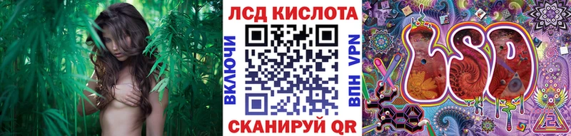 где купить наркотик  mega онион  маркетплейс клад  Теберда  Марки NBOMe 1500мкг 