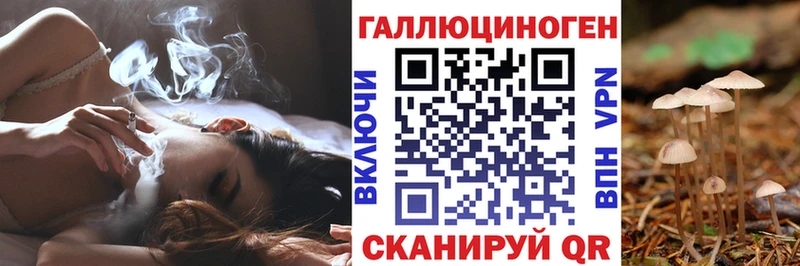 Псилоцибиновые грибы Cubensis  хочу   Теберда 
